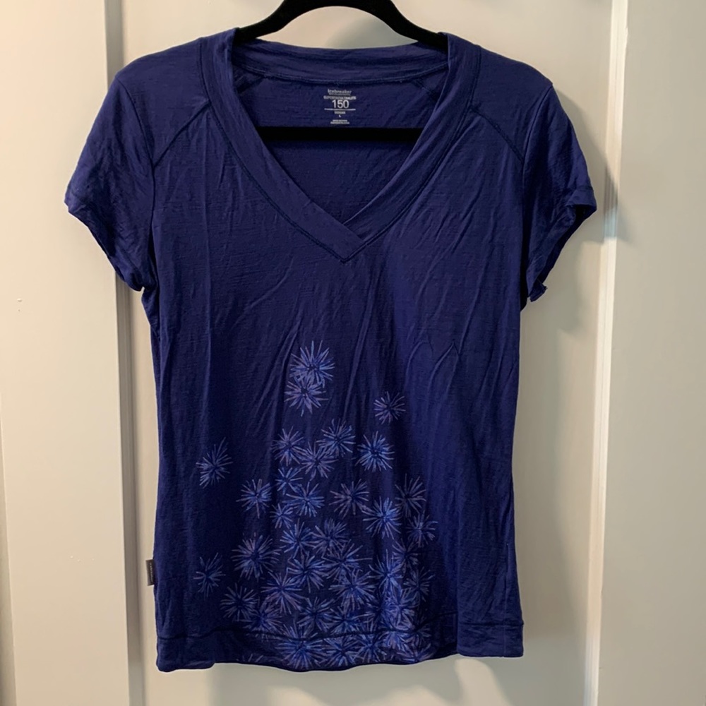 Superfine Icebreaker Tee in Large